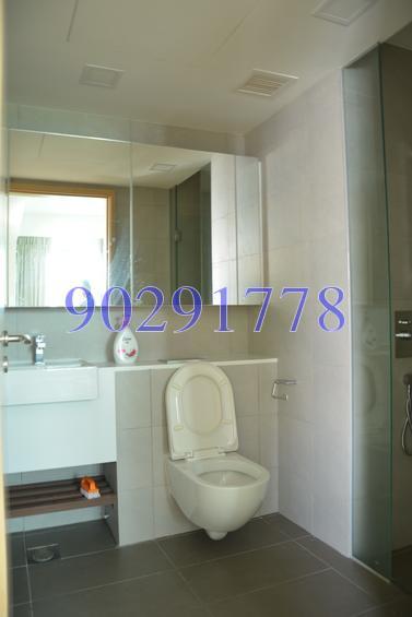 Eight Riversuites (D12), Condominium #150492832